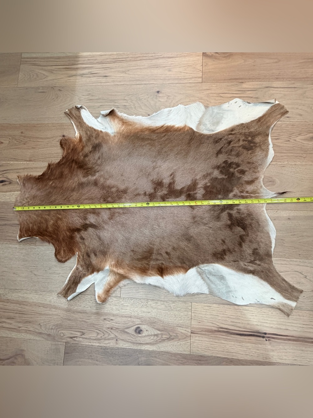 Vintage Genuine Goatskin Hide Rug Mallorca Spain Brown & White Hair-On Hide - Picture 8 of 11